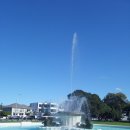 한국스카이다이빙학교 | 🇳🇿 뉴질랜드 여행·유학·이민까지 연결되는 오클랜드 공항픽업 서비스 (카톡 taxi999 예약)