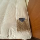 여기;여유가기다리는곳 | 이시가키 후사키 리조트 후기 | 아이랑 가기 좋은 키즈프렌들리 숙소