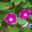(주)이슬환경