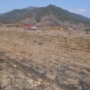 농업회사법인 (주) 지리산동의촌