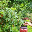 금모래마당 펜션 이미지