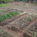 새로이농장 이미지