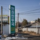만천만두국