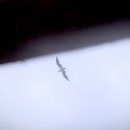 블루오션관광펜션 이미지