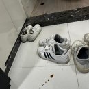 스트릿1988 부천옥길점 | [애플파이 맛집] 스트릿 1988 부천 옥길점 🍎