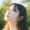 게좋은나라