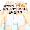 파스놀라운 효가 이미지