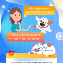 D&C동물병원 이미지