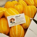 동팔이네 이미지