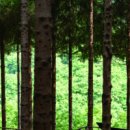 새아리농장 이미지