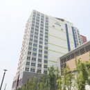 배곧두손지젤타워 네이버블로그