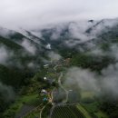 편백숲황토팬션 이미지