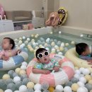 [위례]베이비온더풀 베이비카페 키즈카페 실내놀이터 아기 수영장 아기랑 수영장