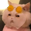 부천시청역(7호선) | [부천시청역] 부천 태닝샵 몰디브태닝 화이트태닝 받은 후기