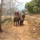 주립2농장 이미지