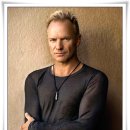 Shape Of My Heart / Sting 이미지
