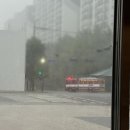 주가네옹심이 | [일상] 이번 편은 다소 스크롤 압박이 있습니다