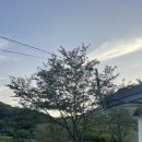 소호 푸른정원 이미지