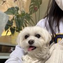 두서울치과의원 이미지