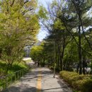 서리풀길 16 이미지