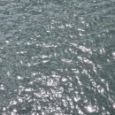 인혁농장 | [주간일기] 글이 되지 않을 삶은 없기에 : 대만 스틴터 생활 (6月2주차)