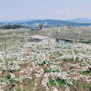 동민식당 이미지