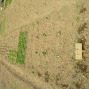 정학농장 이미지