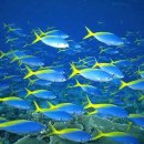 아름다운바다 이미지