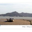 달구벌진도 이미지