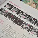 사랑을 담은 엄마 아빠표 책놀이 | 육아 책 추천·후기 (임신육아대백과/초보엄마아빠를 위한 임신출산/하루5분엄마목소리 하루5분아빠목소리)