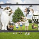 자이언트텔레콤 이미지