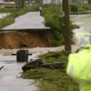안성 월동천 이미지