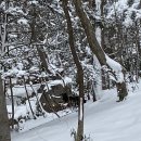 말무리염소농장 이미지