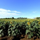 연천 호로고루 이미지