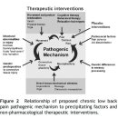 Re:Pathophysiological model for chronic low back pain integrating connective tissue and nervous system mechanisms 이미지