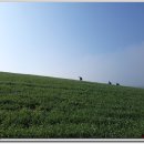 황산면사무소 이미지