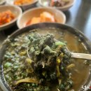 진국 티스토리