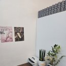 그로우속눈썹 | 홍천 속눈썹펌 잘하는곳,그로우에서 뷰러펌 솔직후기