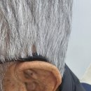 벨톤보청기 | 김제보청기, 🎧 벨톤 어메이즈 보청기 착용 후기 – 70대 남성 고객 이야기