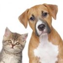 예일약국 이미지