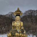 천년카페 이미지