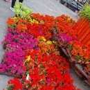 화정역 광장 이미지