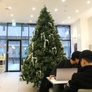해피트리리사이클부천점 | 부천시청 카페 크리스마스 트리가 예뻤던 카페토브