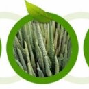 범일농장 이미지