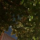 안다미로귀때박물관 이미지