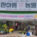 한아름꽃농원 - 계양구 장제로 1103-1 | 한아름꽃농원