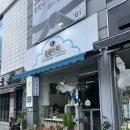 폼폼카페 | 안양 애견동반 데이트 애견 동반 카페 폼폼 카페 방문 후기