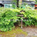 다덕약수관광단지 이미지