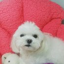 지누동물병원 이미지