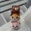 제주 영 로열스 콘서트 / 제주 더 로열스 콘서트 | 데이식스 전국투어 대구 후기 가져왔습니다 많관부 ~